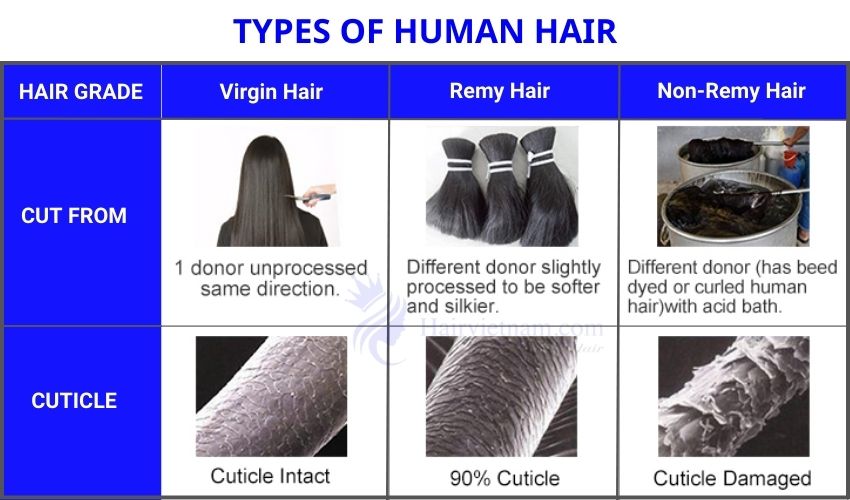 Types of human hair