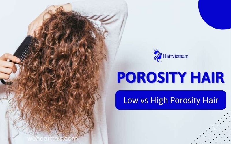 Low vs High Porosity Hair