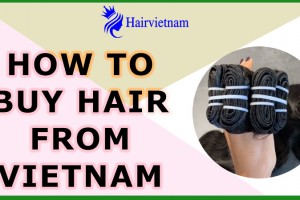 How To Buy Hair From Vietnam?