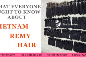 What Everyone Ought To Know About Vietnam Remy Hair