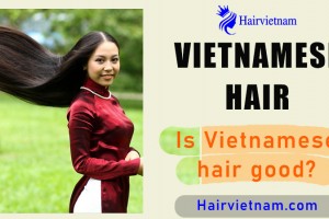 Vietnamese Hair - Top Luxury for Finest Hair Quality