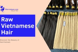 Raw Vietnamese Hair: Discover the Beauty of HairVietnam