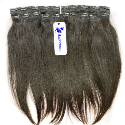 Vietnamese Natural Straight Clip In Hair