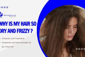 Why Is My Hair So Dry And Frizzy - 6 Reasons and Treatments