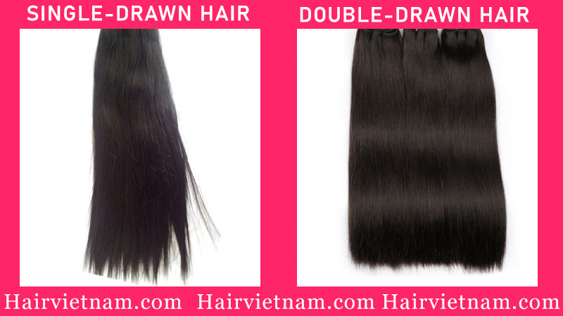 Double drawn hair vs Single drawn hair
