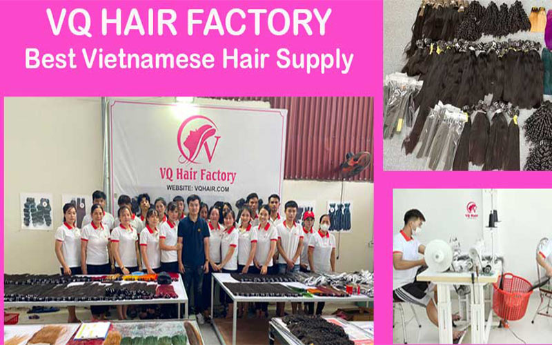 VQ hair factory top vietnamese hair vendors