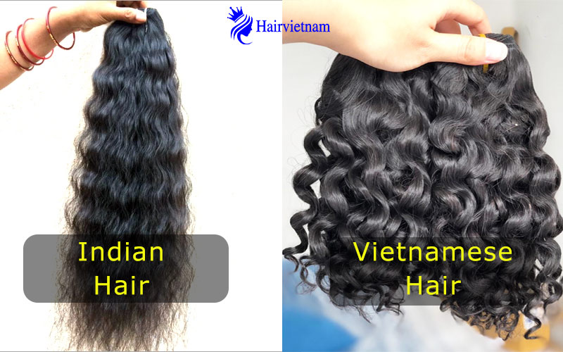 Vietnamese hair vs Indian hair