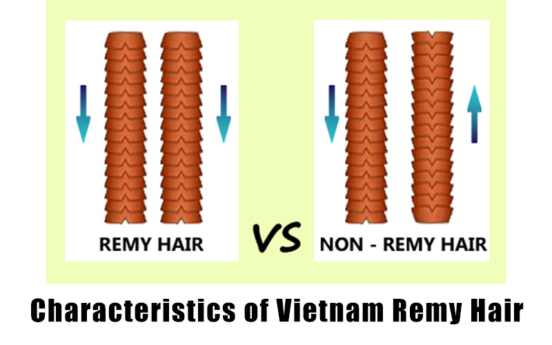 Vietnam-remy-hair-vs-non-remy-hair