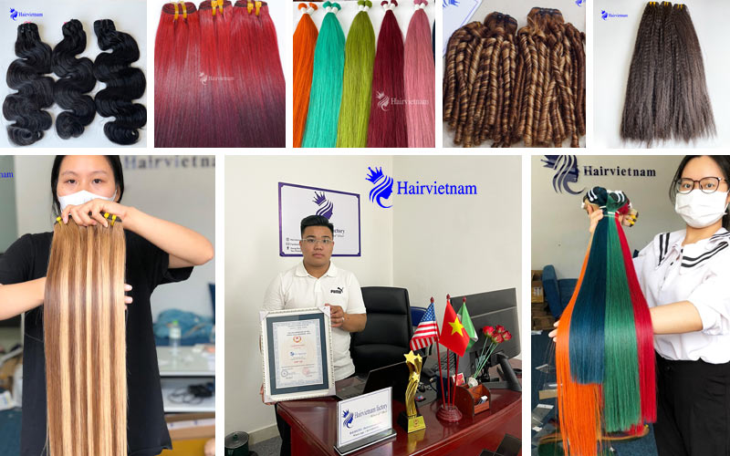 buy-best-human-hair-in-Vietnam