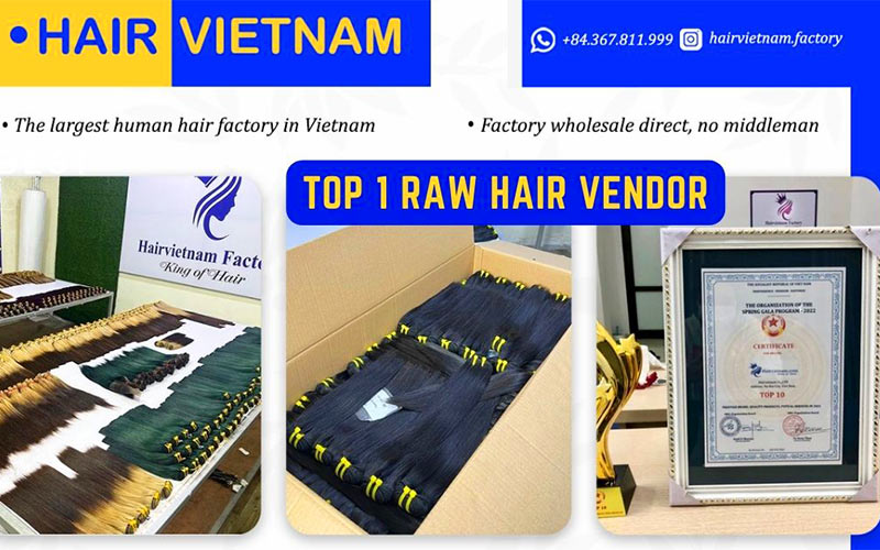 Hairvietnam Raw Vietnamese Hair Vendors