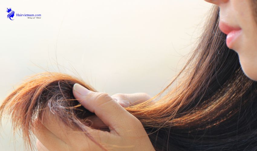 What causes split ends in hair