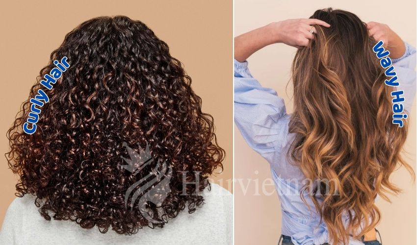 Wavy Hair vs Curly Hair