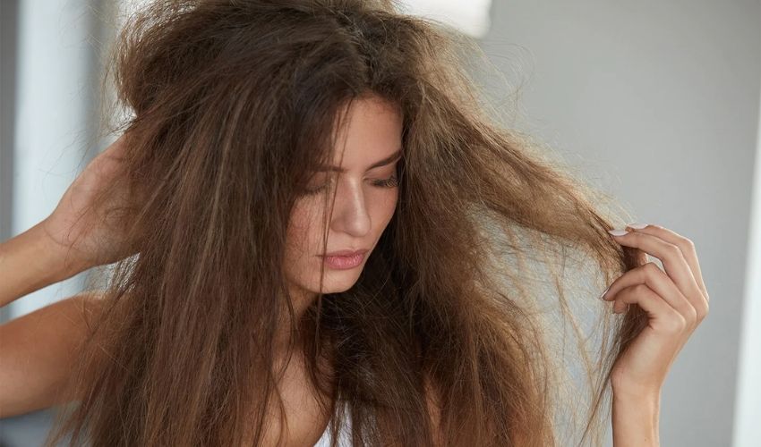 6 Reasons Why Is My Hair So Dry and Frizzy