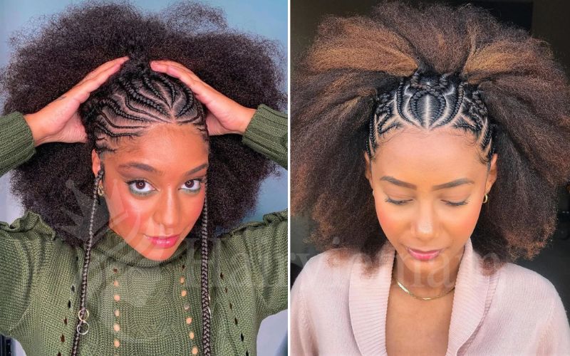 Braided Afro Puff Hairstyles