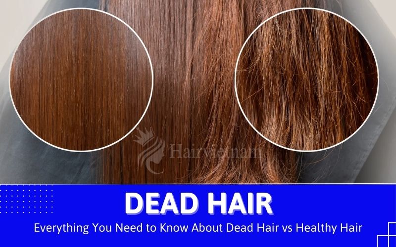 Dead Hair vs Healthy Hair