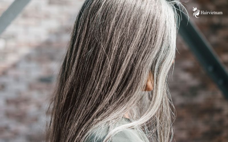 Tips for How to Prevent Grey Hair