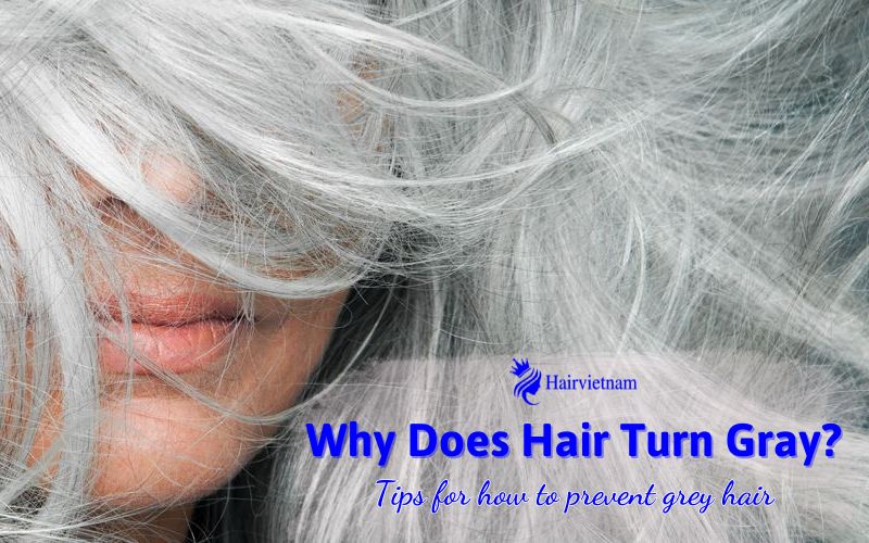 Causes Why Does Hair Turn Gray?