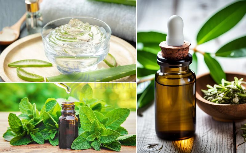 Herbal Remedies: 