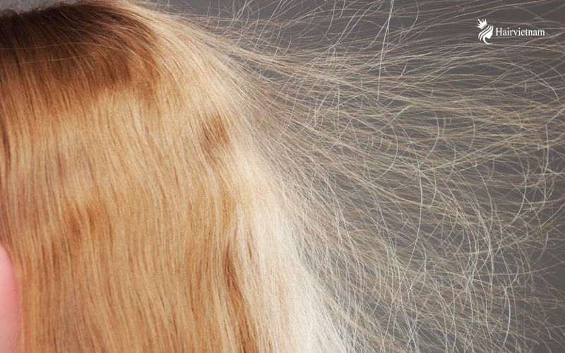 1. What makes your hair static?